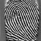 Fingerprint