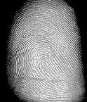 fingerprint captured with TST sensor